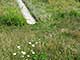 Grounds, Martin John Callanan itakephotos.eu