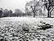 Ice Balls, Victoria Park, London, UK, 5 Feburary 2009