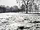 Ice Balls, Victoria Park, London, UK, 5 Feburary 2009