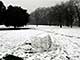 Ice Balls, Victoria Park, London, UK, 5 Feburary 2009