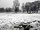 Ice Balls, Victoria Park, London, UK, 5 Feburary 2009