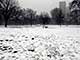 Ice Balls, Victoria Park, London, UK, 5 Feburary 2009
