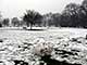 Ice Balls, Victoria Park, London, UK, 5 Feburary 2009
