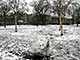 Ice Balls, Victoria Park, London, UK, 5 Feburary 2009