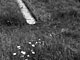 Grounds (Berliner Mauer), Martin John Callanan itakephotos.eu