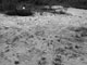 Grounds (Berliner Mauer), Martin John Callanan itakephotos.eu